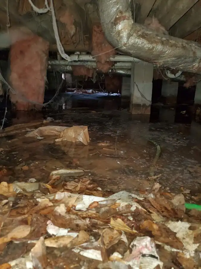 Crawl space flood assessment for Commercial Water Damage Restoration in Tanglewilde