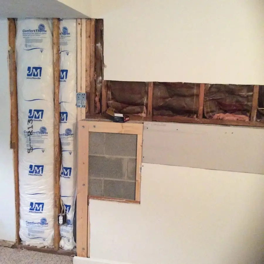 Wall insulation replacement during Odor Removal & Deodorization in Tanglewilde
